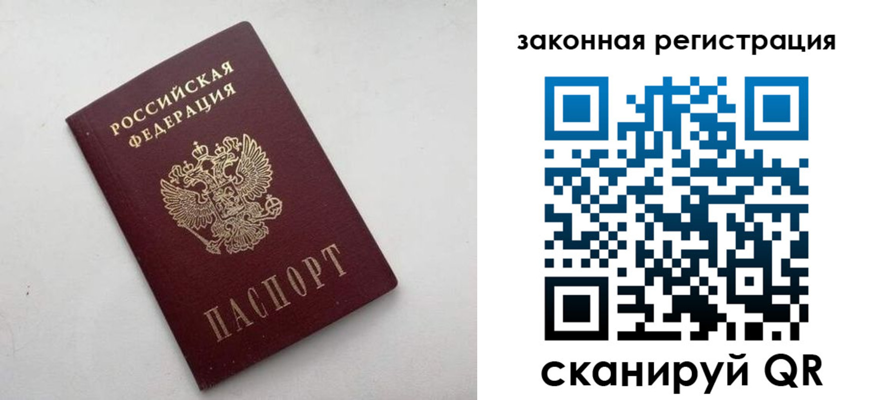 прописка 2025 в Высоковске